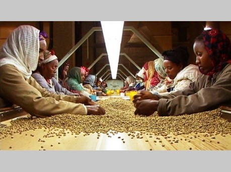 『おいしいコーヒーの真実』クロスレビュー