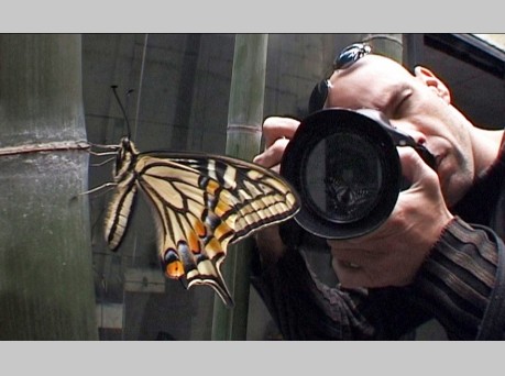 『1000の言葉よりも-報道写真家ジブ・コーレン』レビュアー募集 『1000の言葉よりも-報道写真家ジブ・コーレン』レビュアー募集