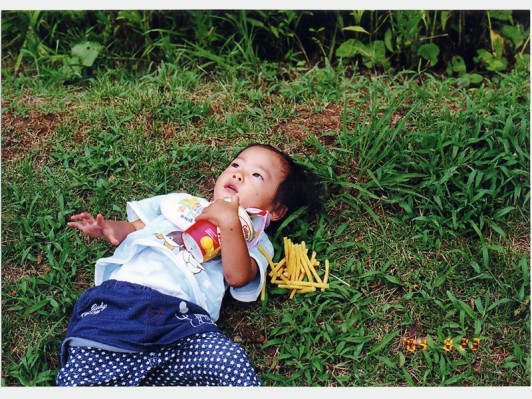 梅佳代、ガイ・ベンナー、宮島達男、日比野克彦など作家14組によるグループ展『日常の喜び』