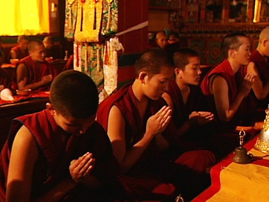 「これはチベットの真実だと信じることができた」―『風の馬』クロスレビュー