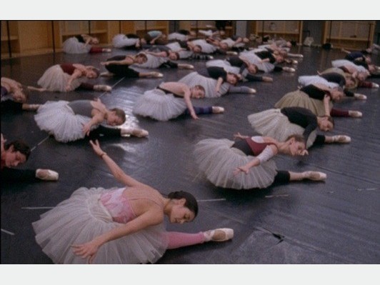 ドキュメンタリー界の巨匠、フレデリック・ワイズマンが描く美の殿堂『パリ・オペラ座のすべて』レビュアー募集