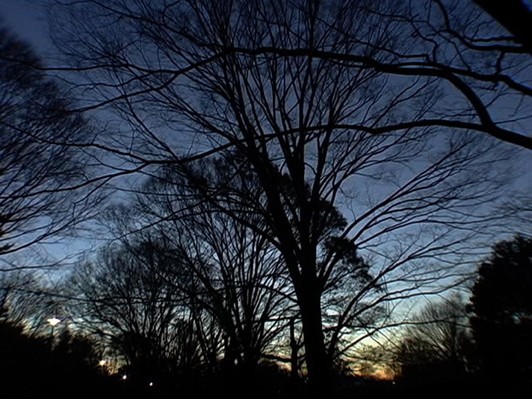 七里圭監督の『眠り姫』、6度目のアンコール上映決定