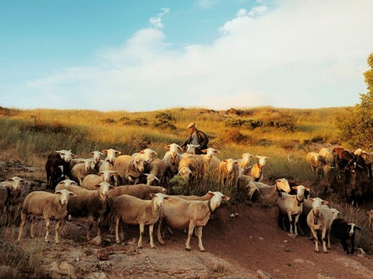 [CINEMA]希代の写真家レイモン・ドゥパルドンが人間の豊かさについて問いかける『モダン・ライフ』レビュアー募集