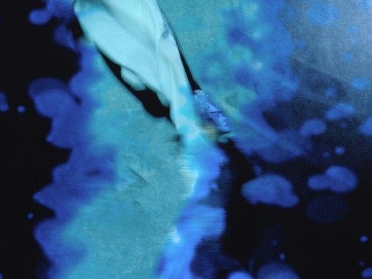 テクノロジーと身体表現をダイナミックに織り交ぜた極上のエンタテインメント─ロベール・ルパージュ『The Blue Dragon-ブルードラゴン』