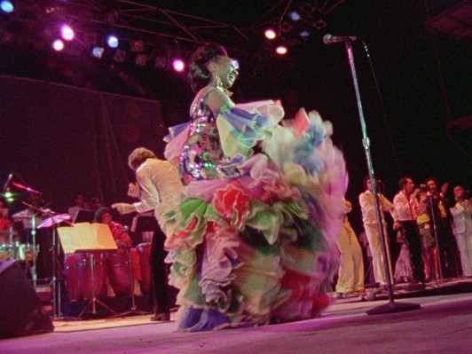 菊地成孔が語り尽くす『ソウル・パワー』DVD──「治癒と同時に上げるパワーに満ちたこの作品を、今こそすべての人に観てほしい」