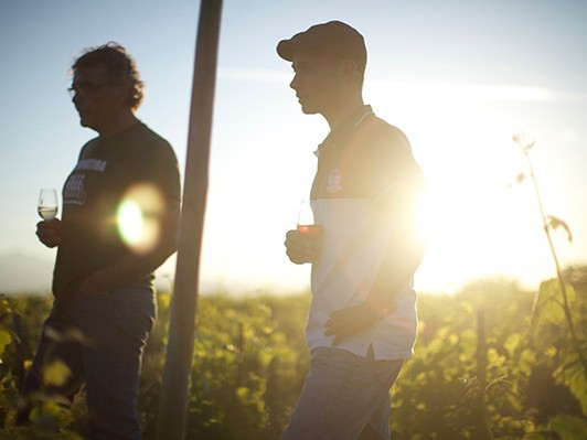 南フランスのワイン生産者たちの愛すべき日常追う映画『ワイン・コーリング』